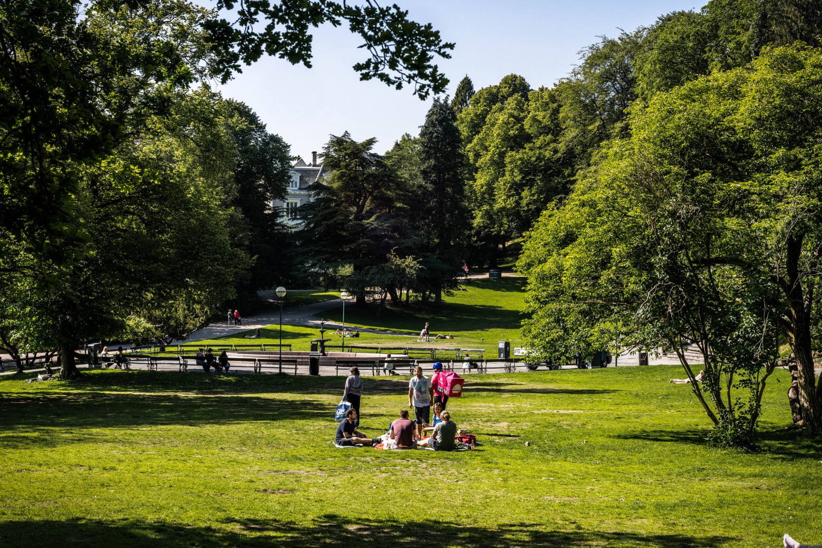 Nygårdsparken som nærmeste nabo