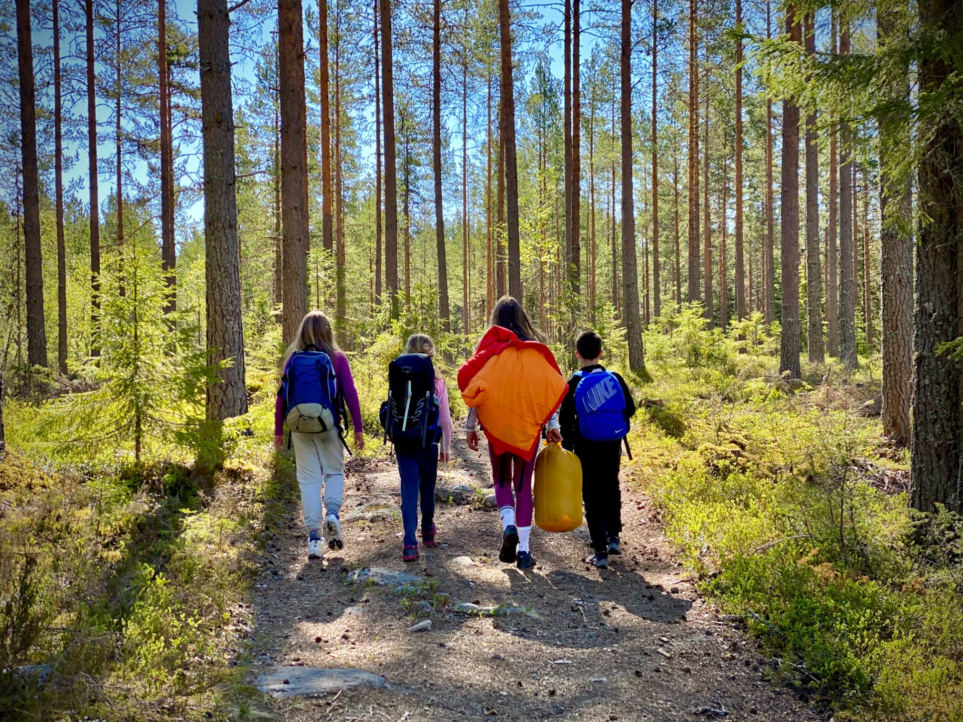 Det er mange turstier på kryss og tvers på Ingeberg.