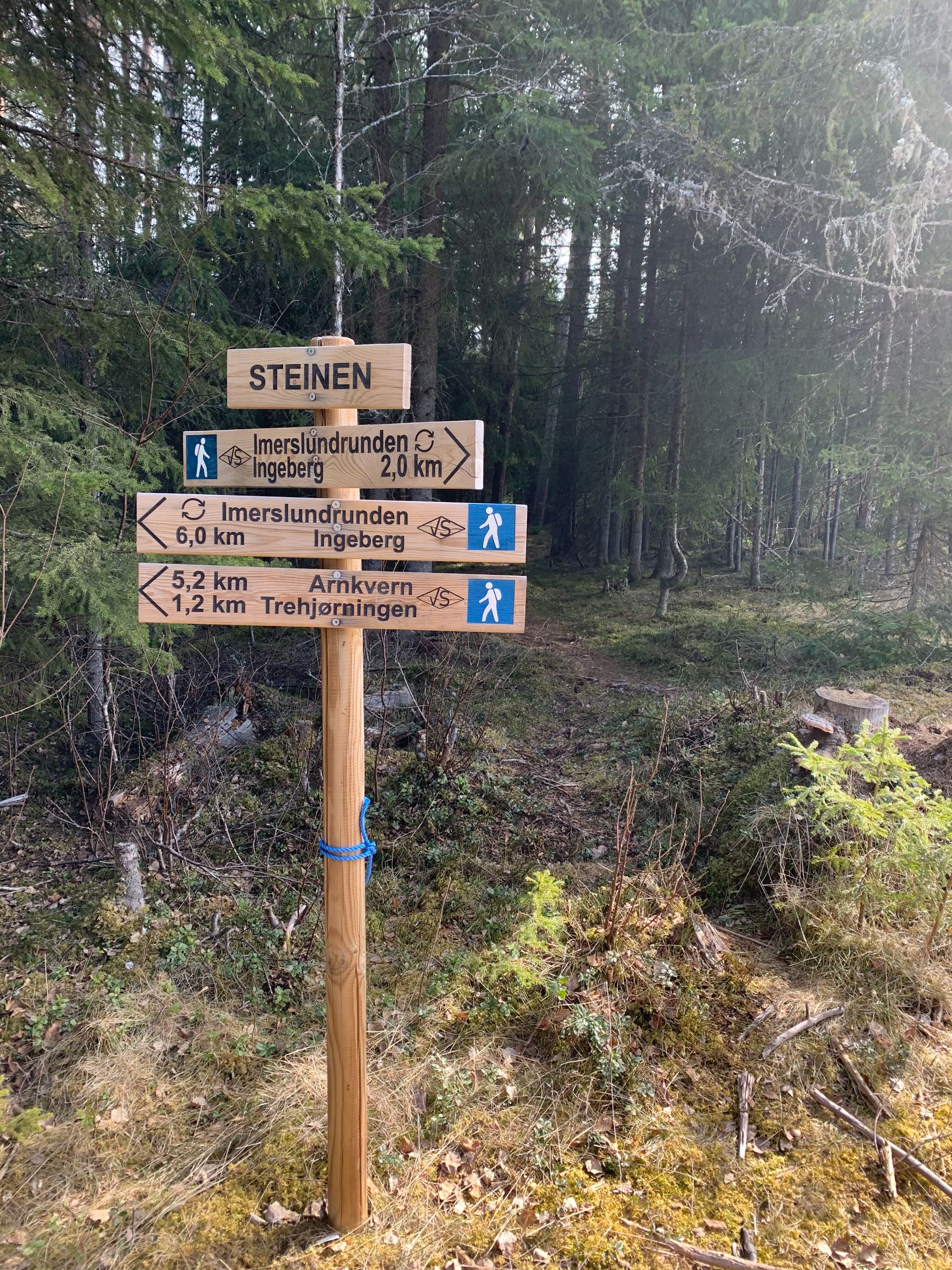 Det er mange turstier på kryss og tvers på Ingeberg.