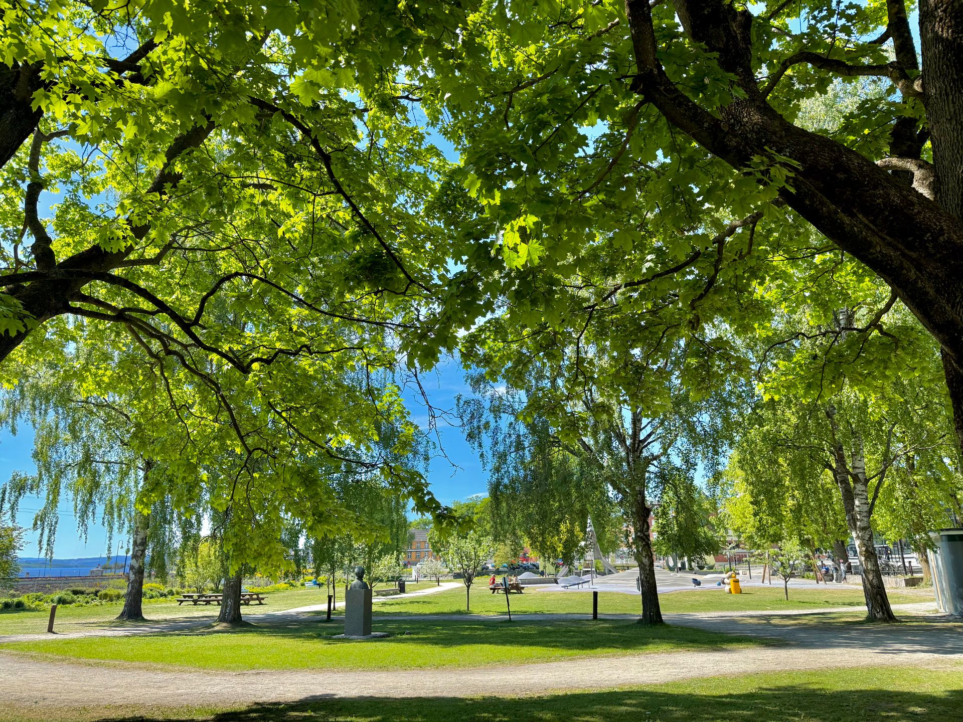 Parken i sentrum