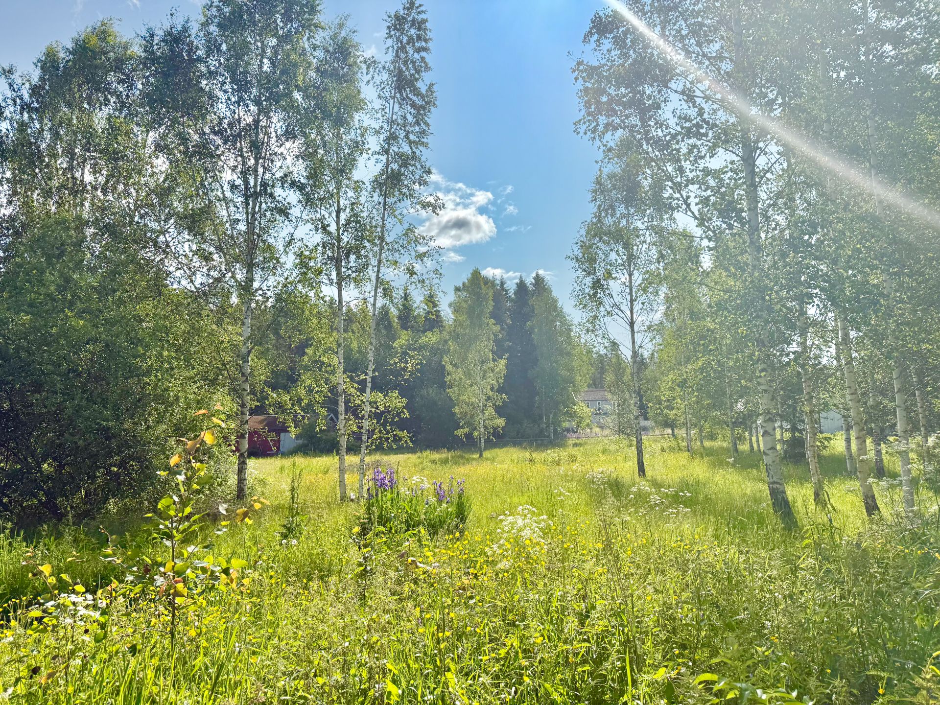 Dette er friområdet som ligger rett foran leilighetene.