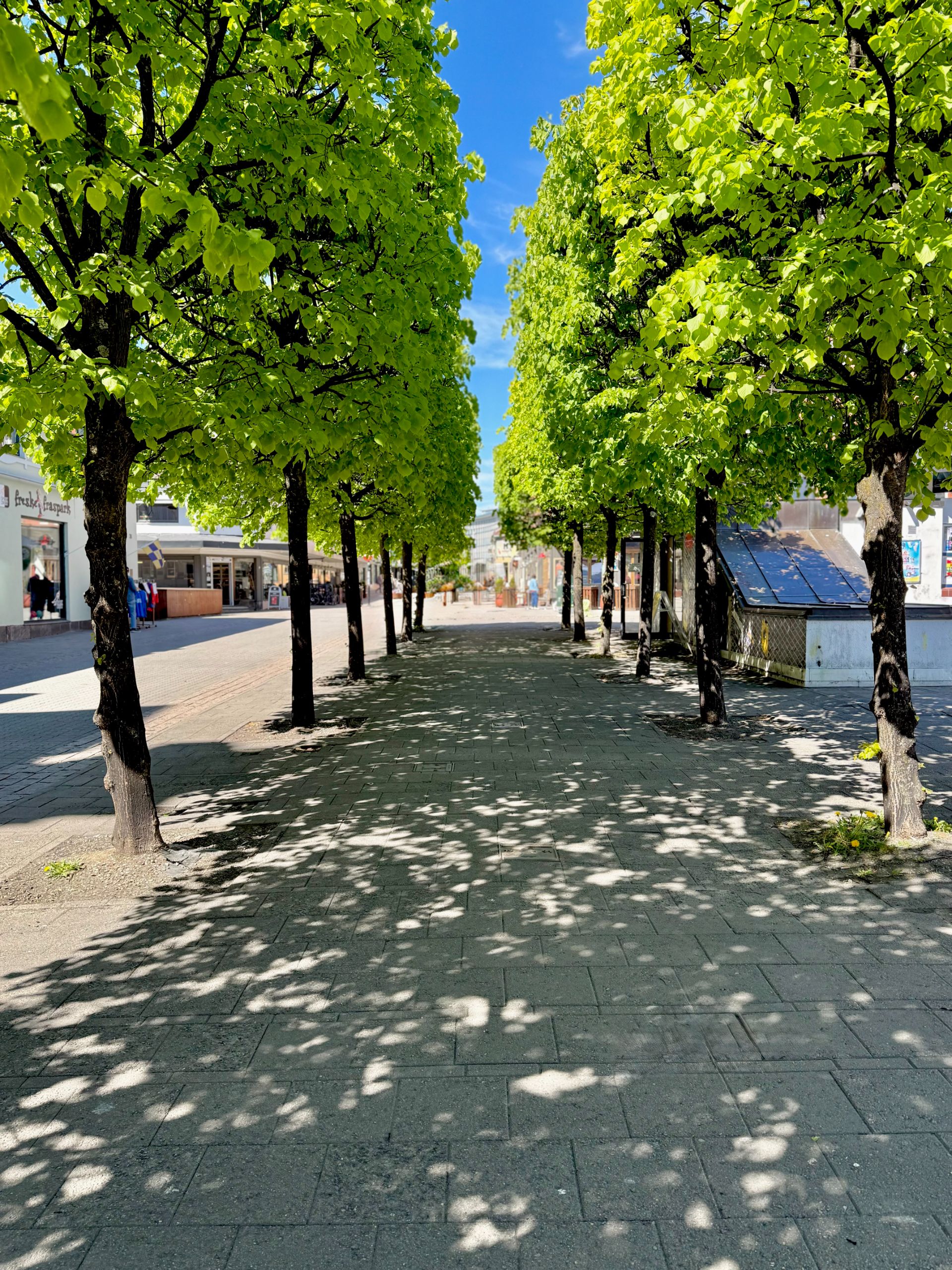 GågataGågata i Hamar sentrum