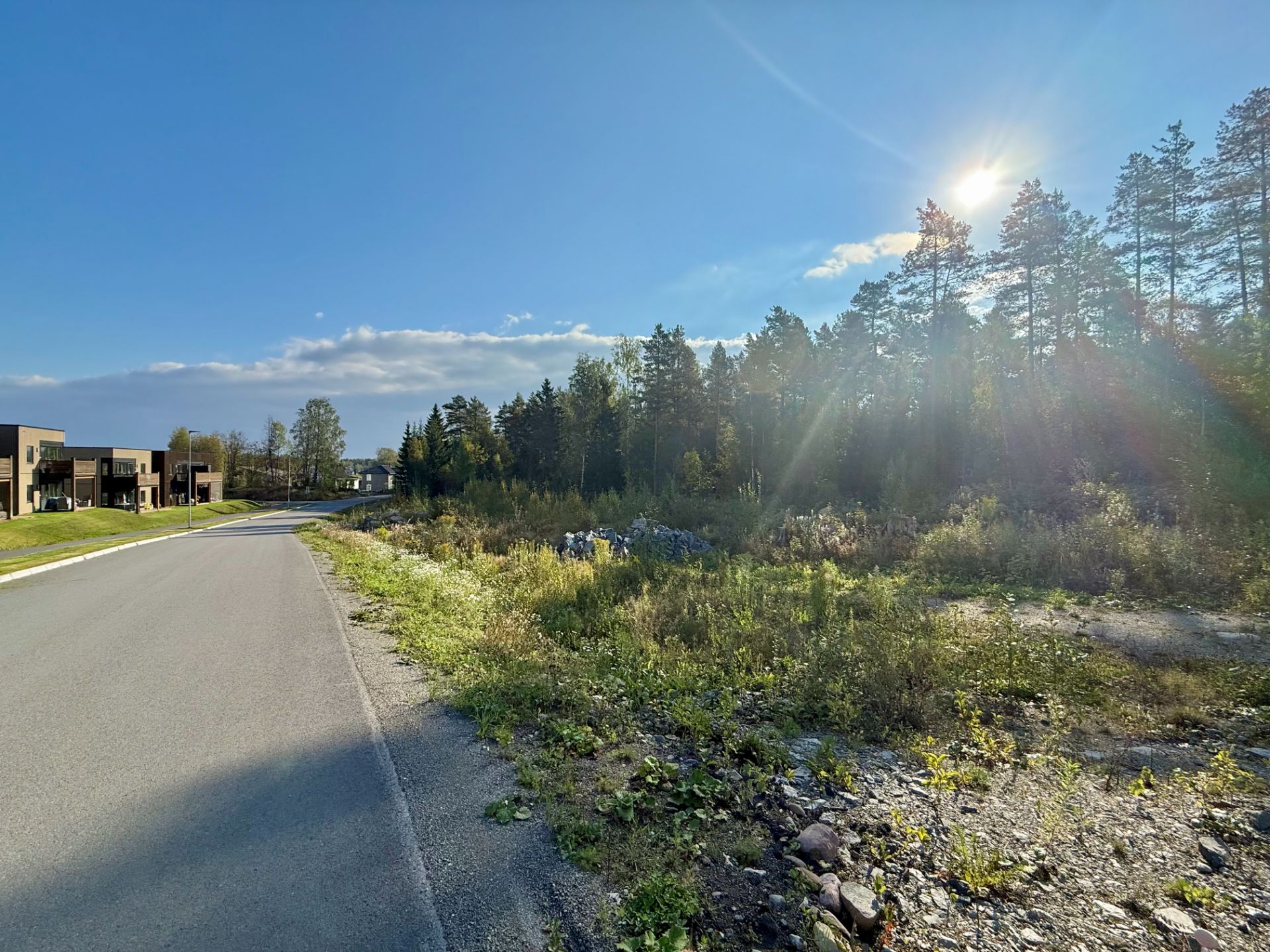 Her står vi på veien rett ved siden av tomta.