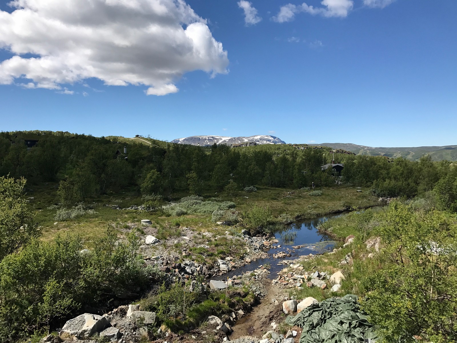 Sommeridyll på høyfjellet