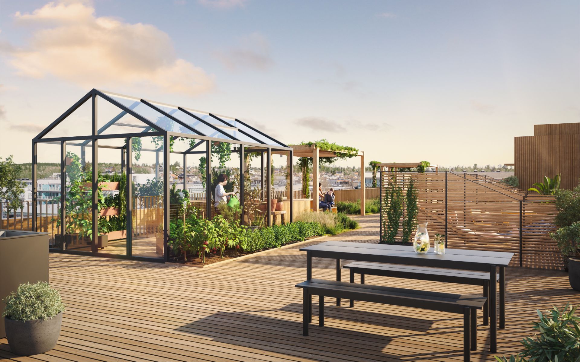 Solrike  takterrasser hvor solen kan nytes til felles glede. Drivhus og sitteplasser.