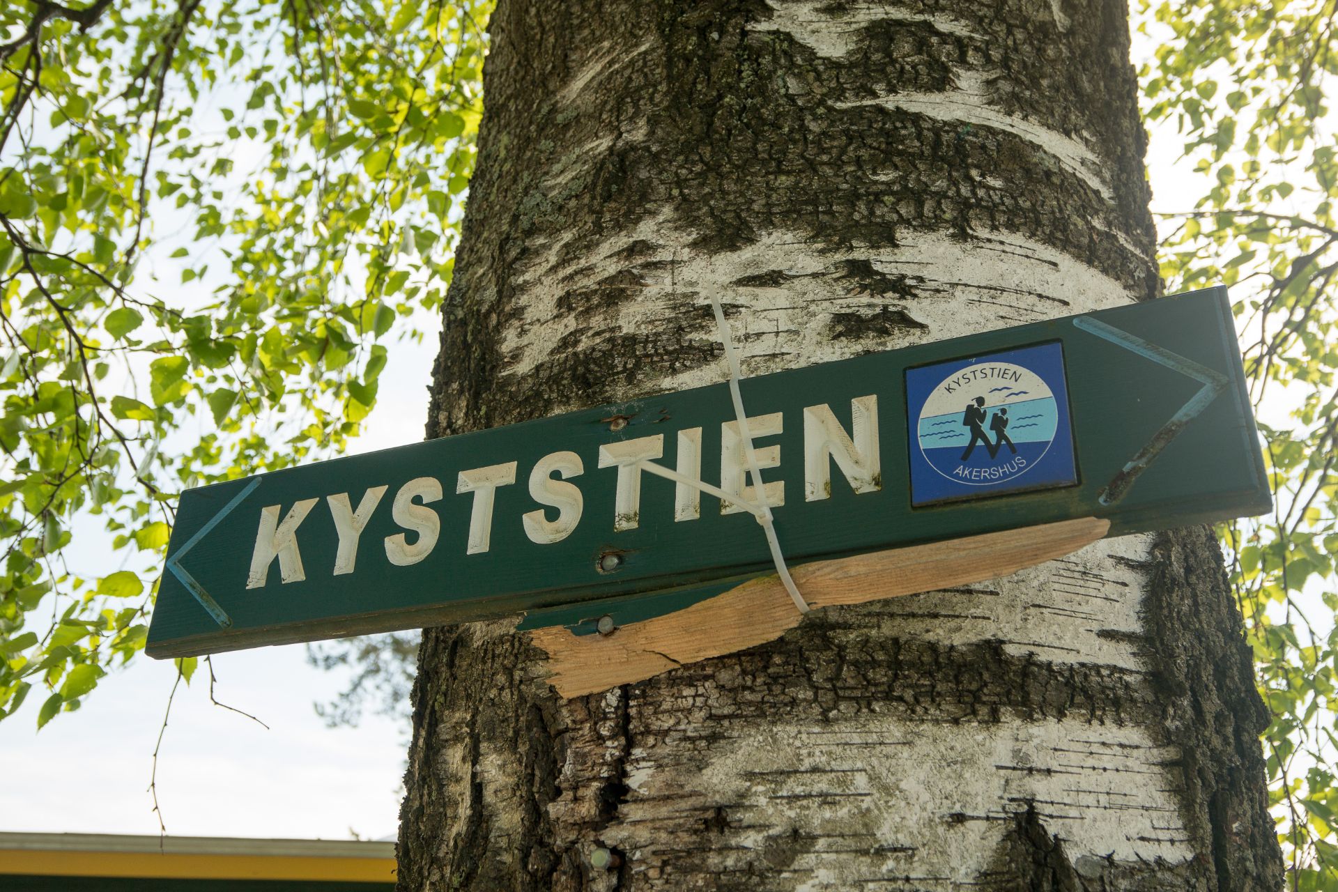 Følg Kyststien fra Blakstadbukta mot Konglungen i nord eller Slemmestad i syd