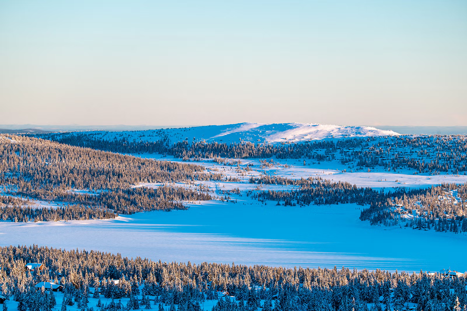 Foto: Ingvild Vestheim