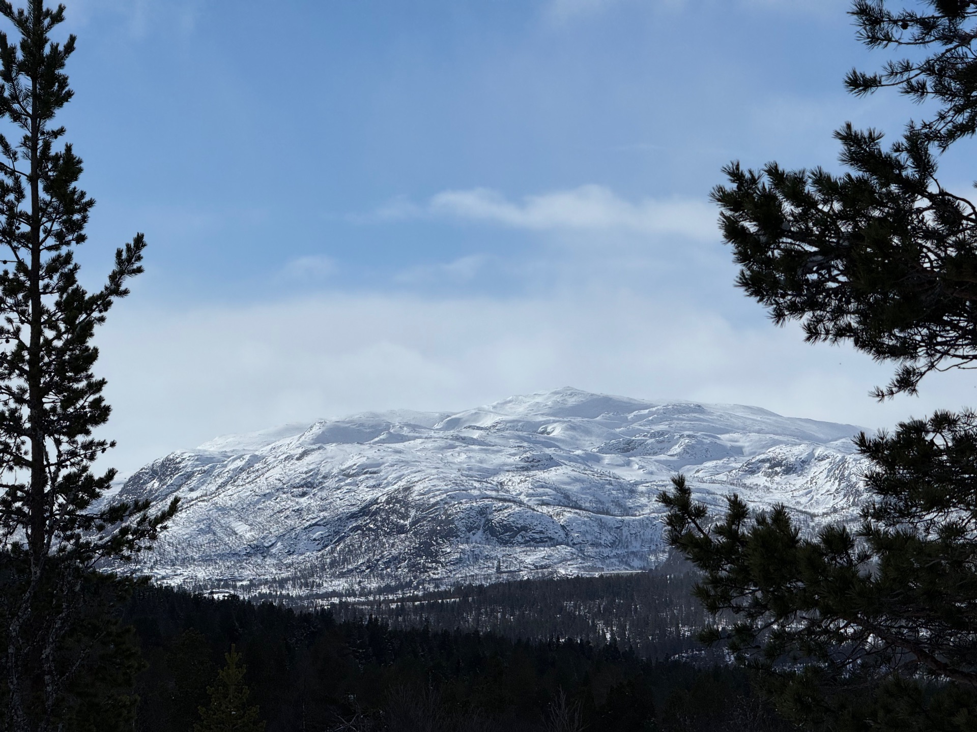 Flotte fjell i bakgrunnen
