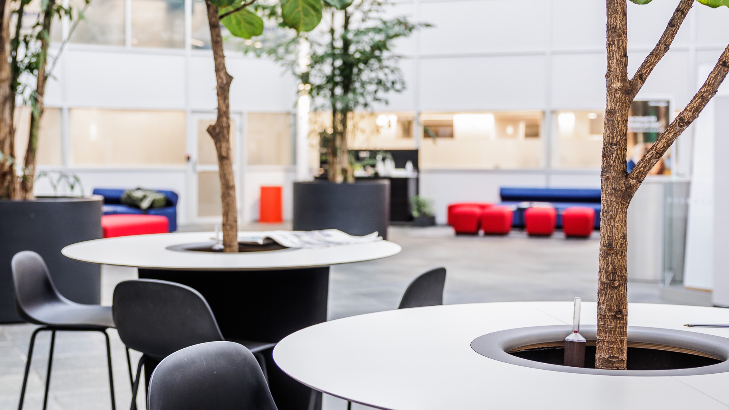 Foto: Magent v/ Knut Neerland