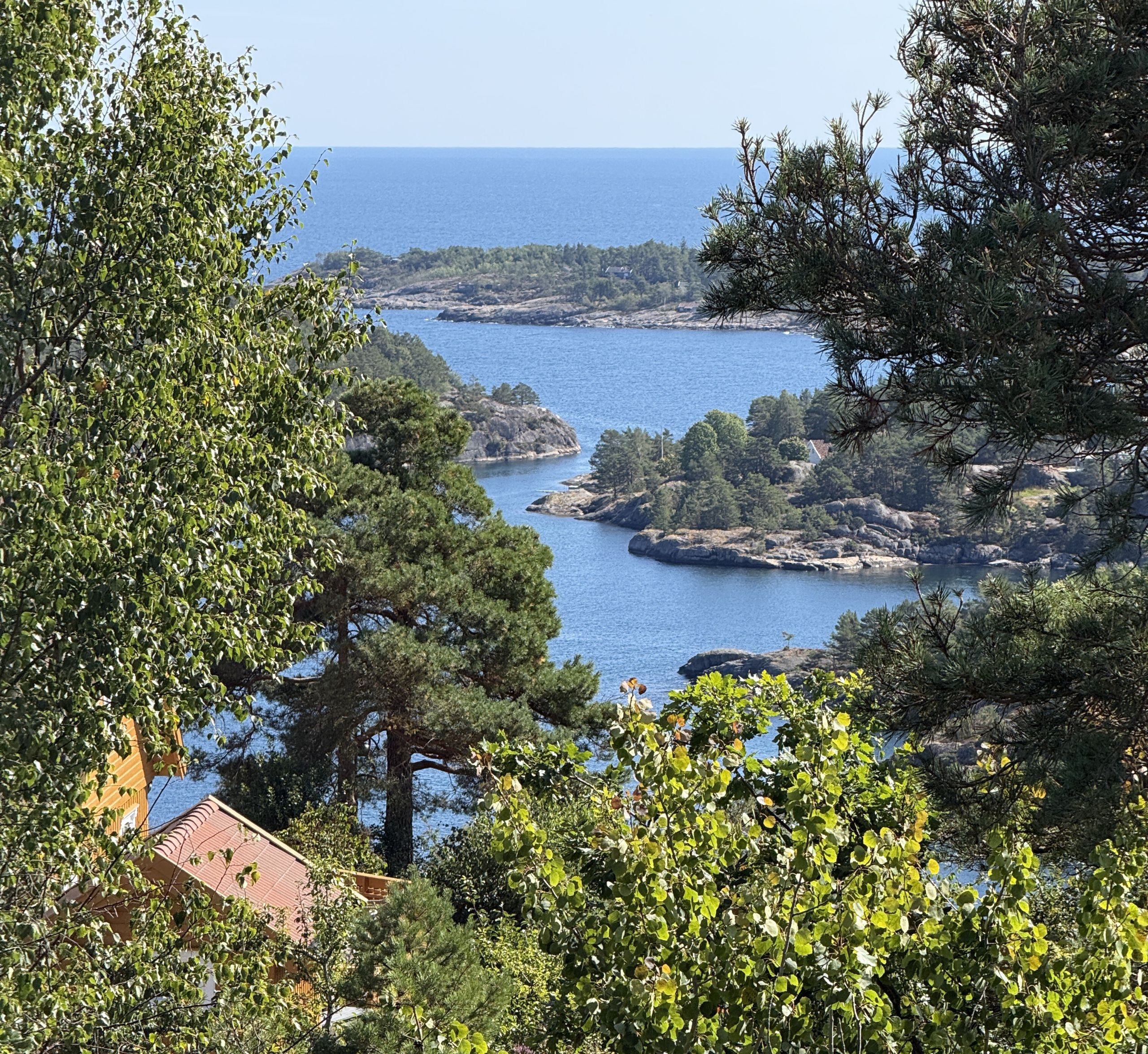 Utsikt fra tomt 8